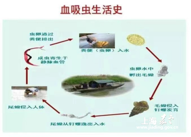 3f860af9ea6842ef91d950ca53ac93e8.png 3f860af9ea6842ef91d950ca53ac93e8.png