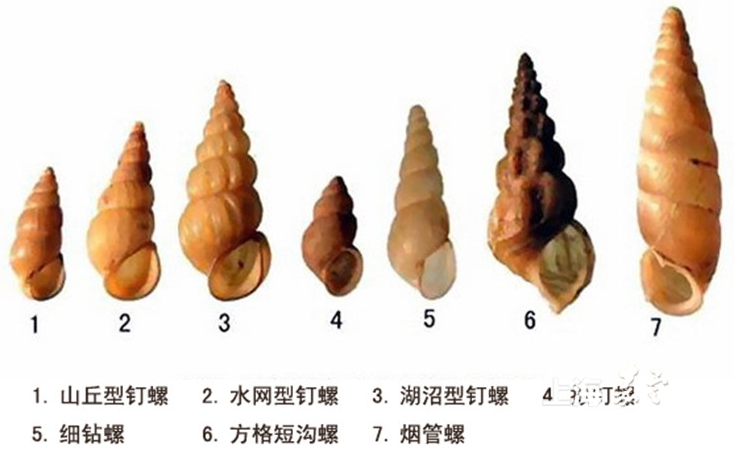 d7e9f356e4fe481******227b74b42b8c.png d7e9f356e4fe481******227b74b42b8c.png