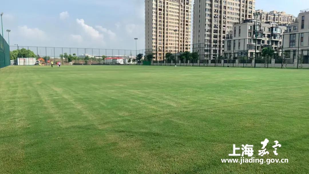 fcae5f3dbb5842f9885e893bcec099ac.jpg fcae5f3dbb5842f9885e893bcec099ac.jpg